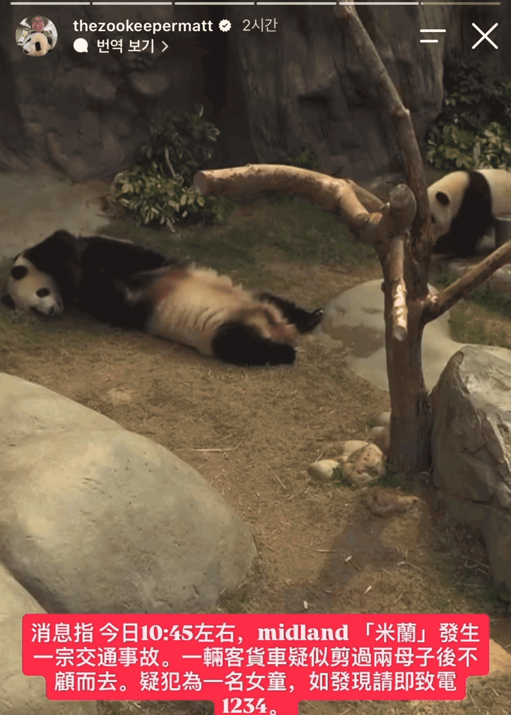 nYHYqp.gif
