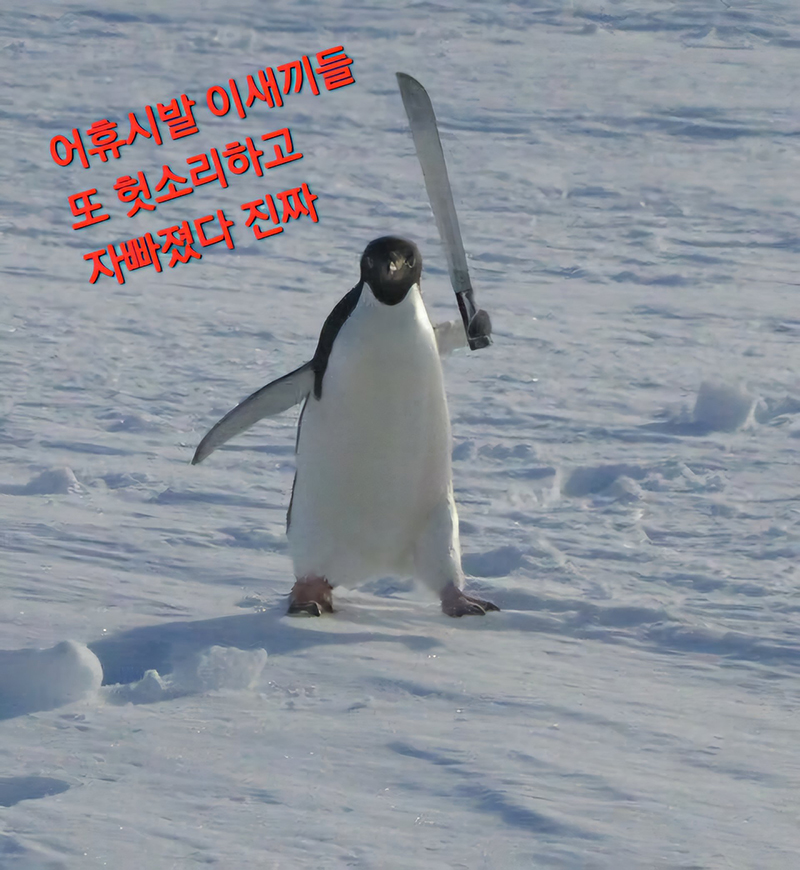 nYhQhz