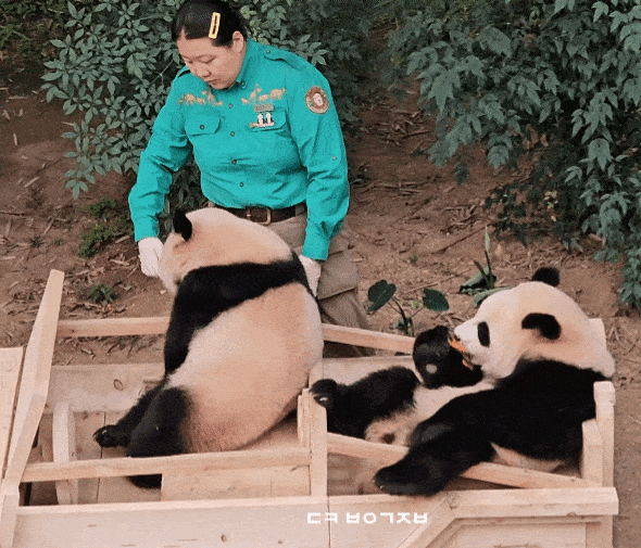 nZjqGA.gif