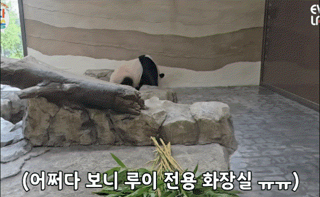 naIzDu.gif
