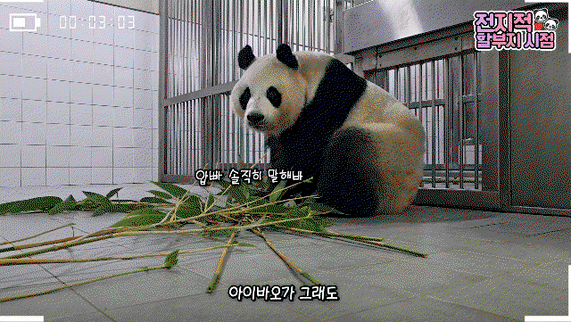 naKorD.gif