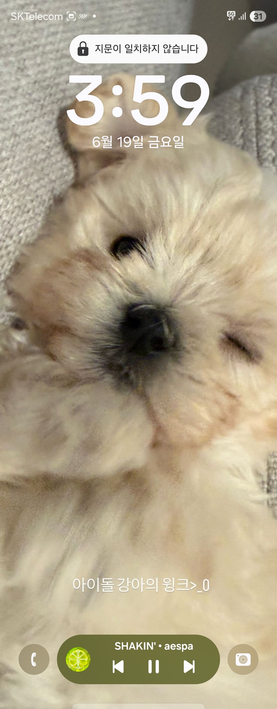 nbrUFP