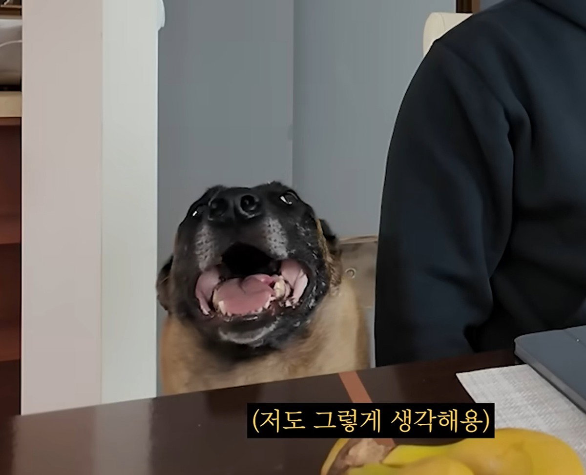 ncJAmJ