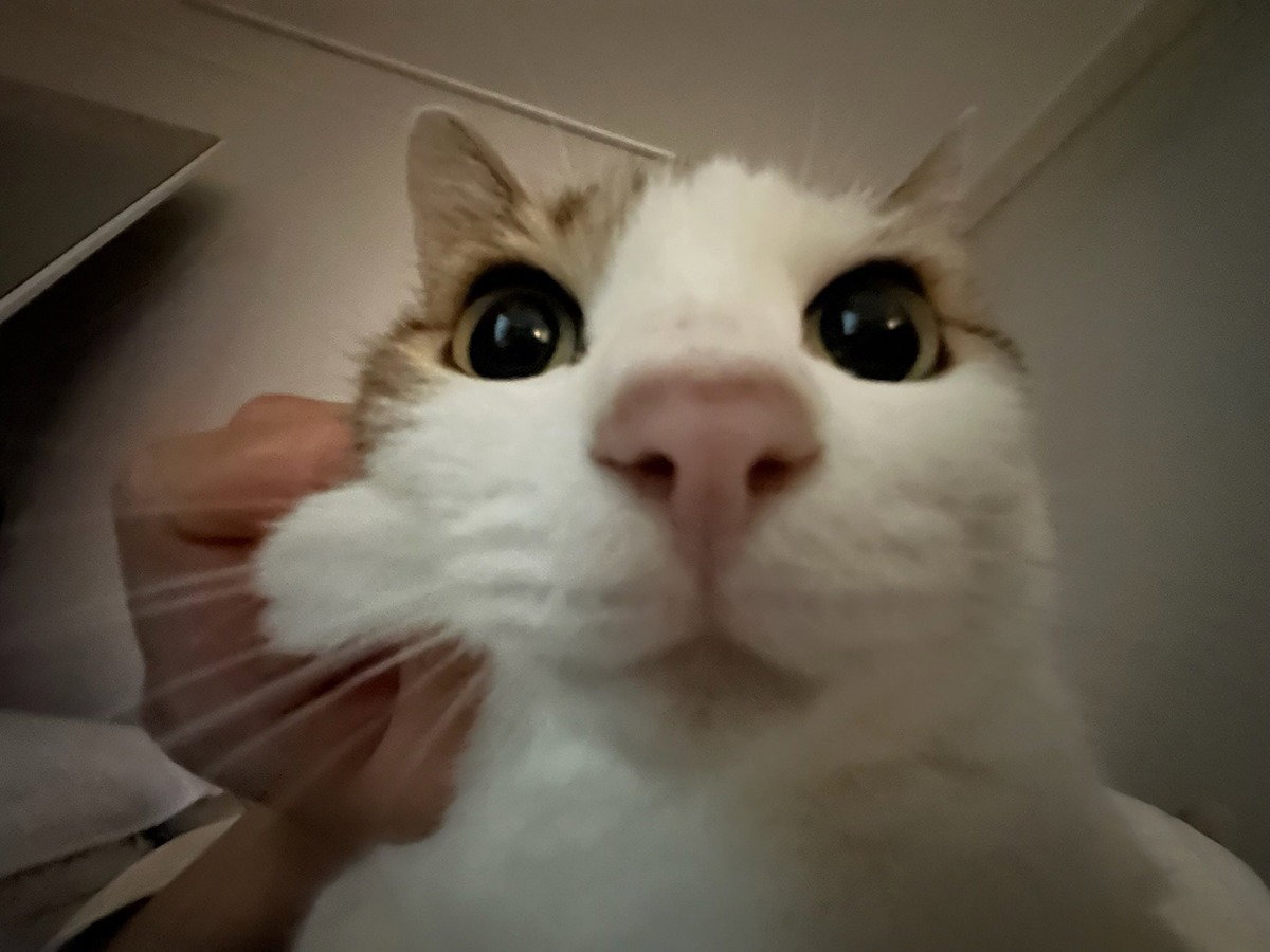 ncRWKg