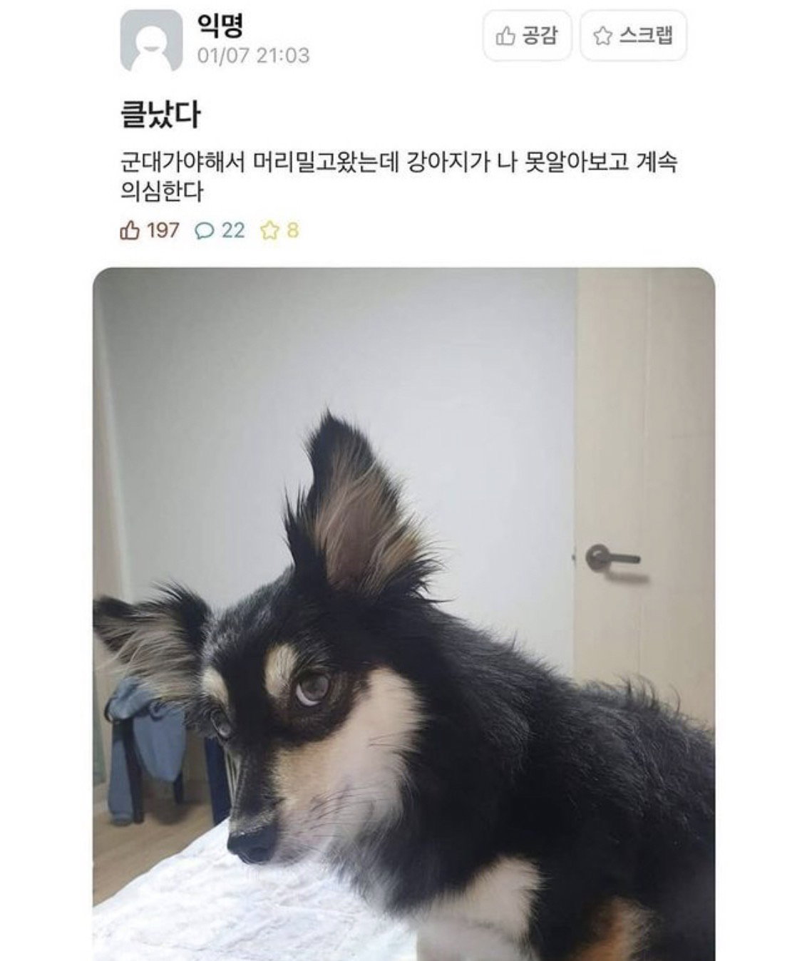 nfBunL