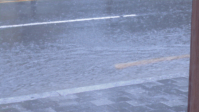 ngZsdN.gif