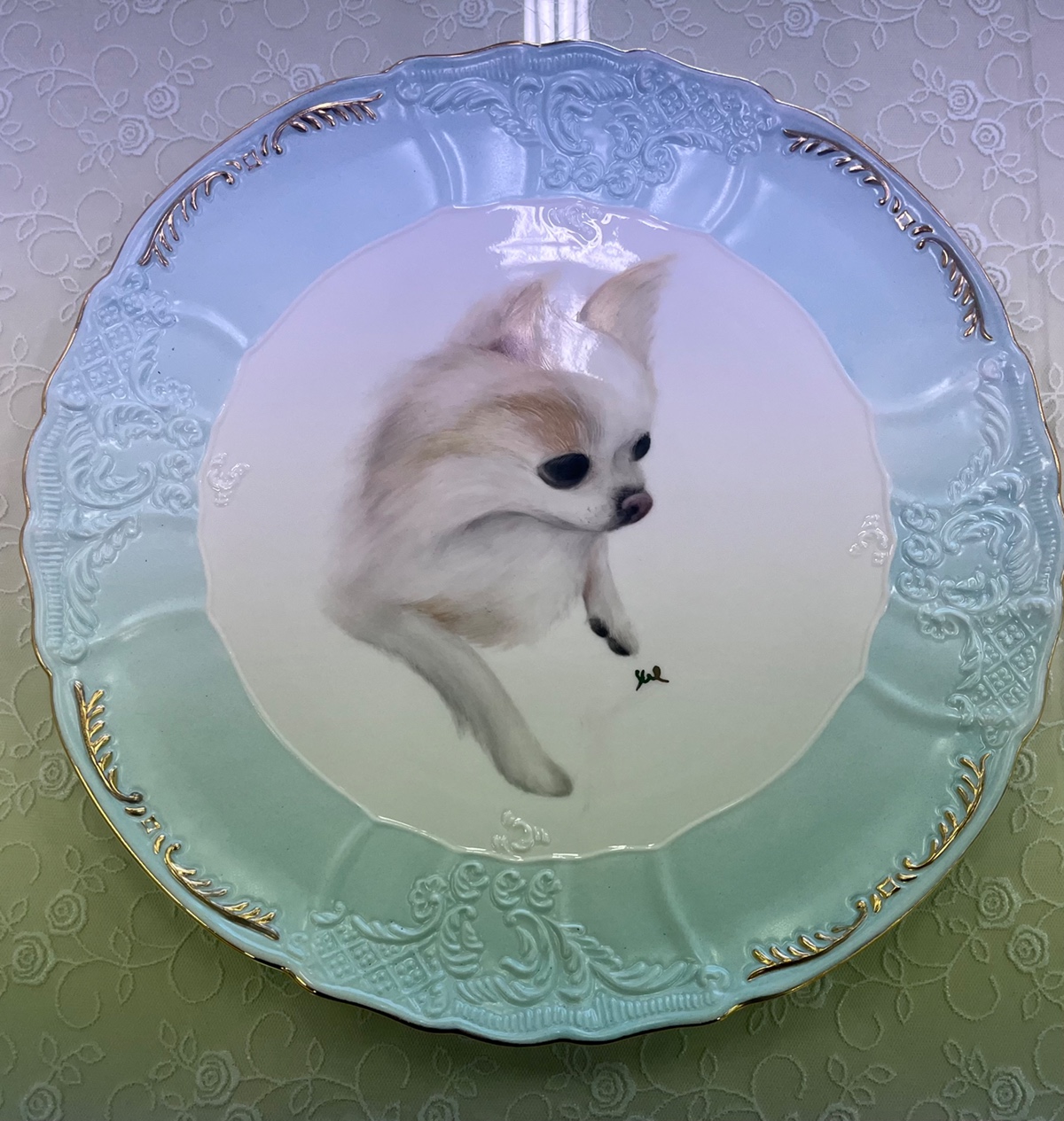 ngbztp