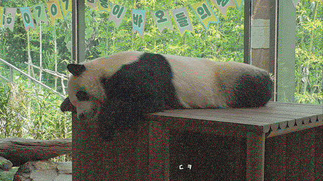 niUEuJ.gif