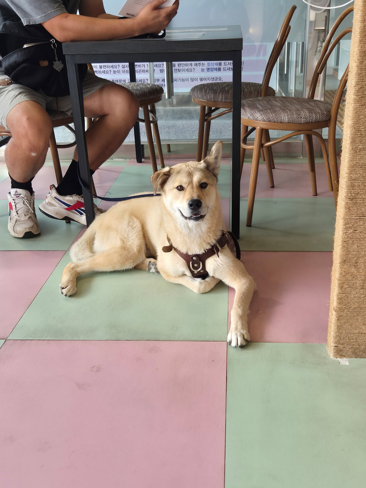 njrhml