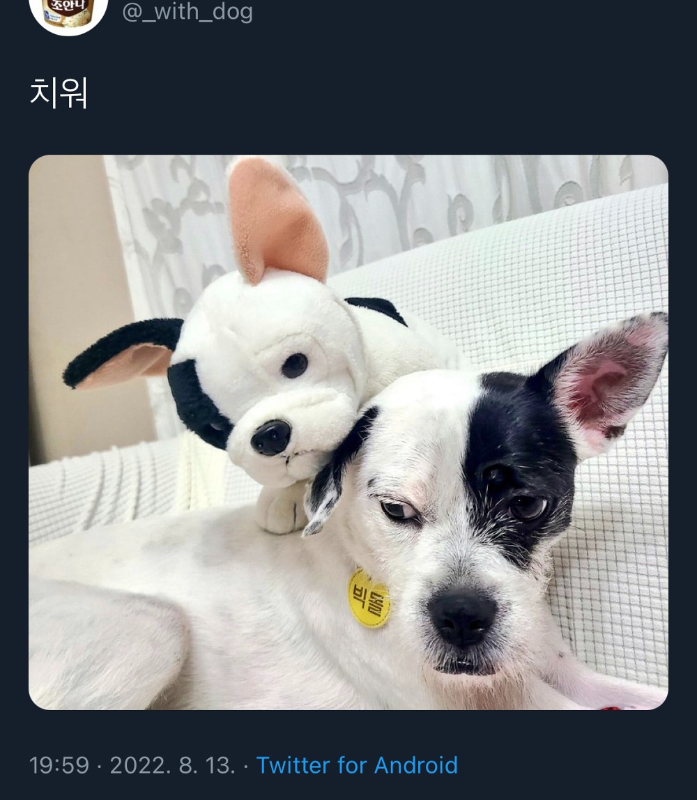 nlFFNQ