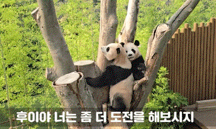 nlfgLB.gif