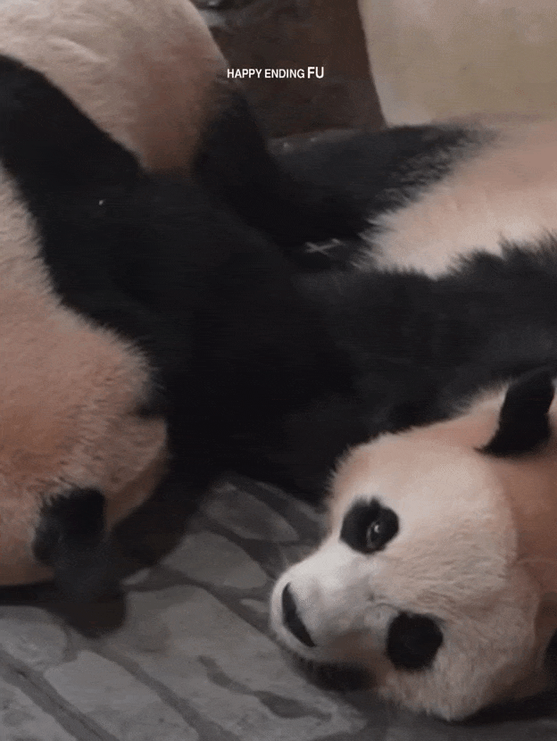 nmFXgm.gif