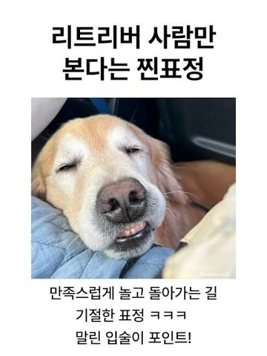 nmnPLH