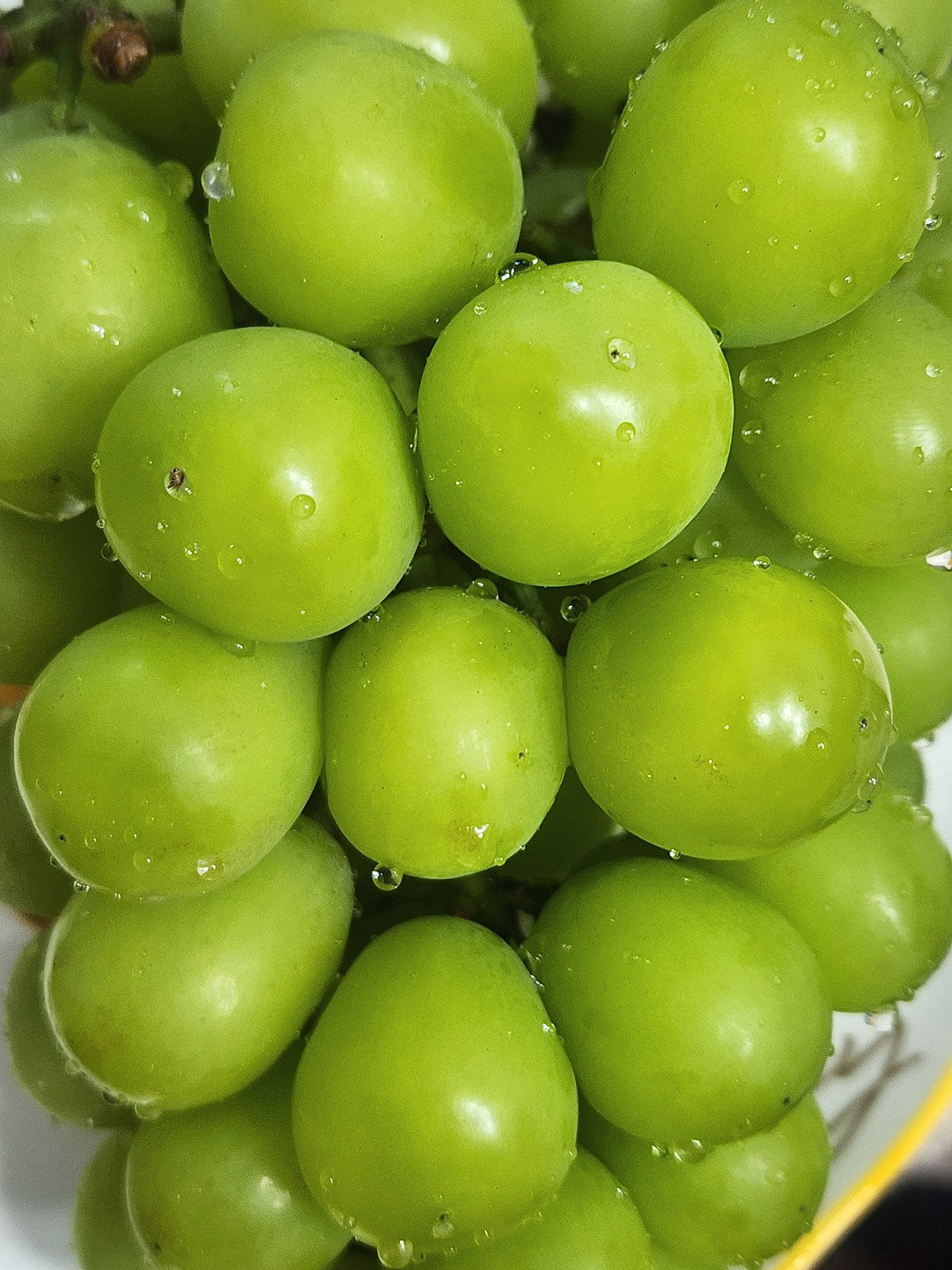 nnbjWJ