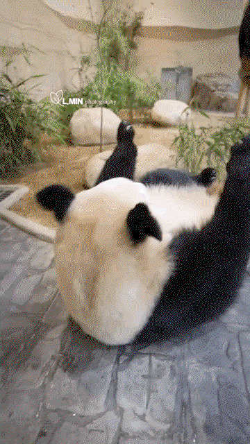 npClXC.gif