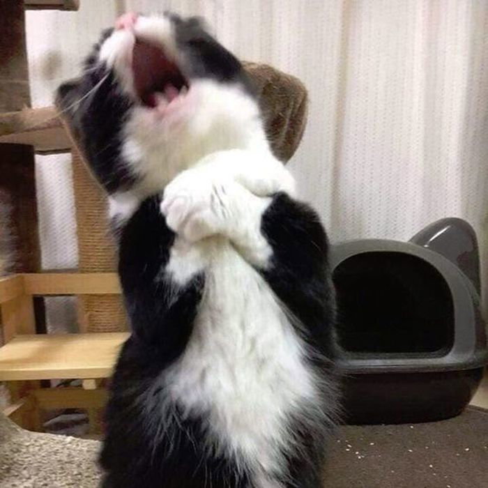 nsntDd