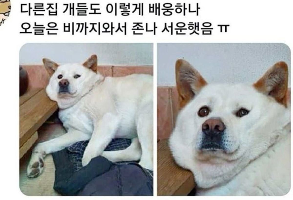 ntOLRZ