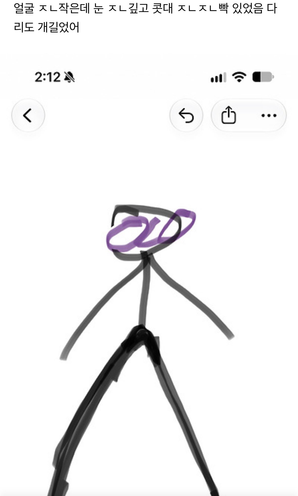 ntTORt