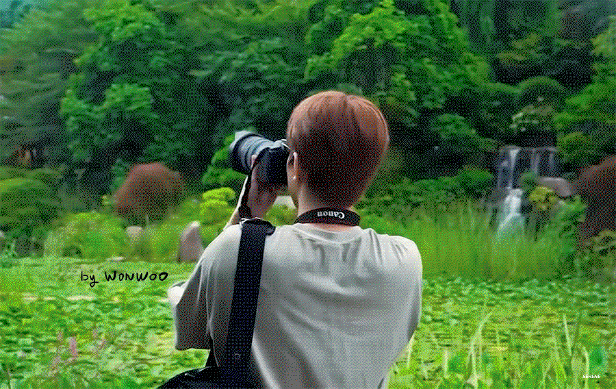 ntVgmY.gif