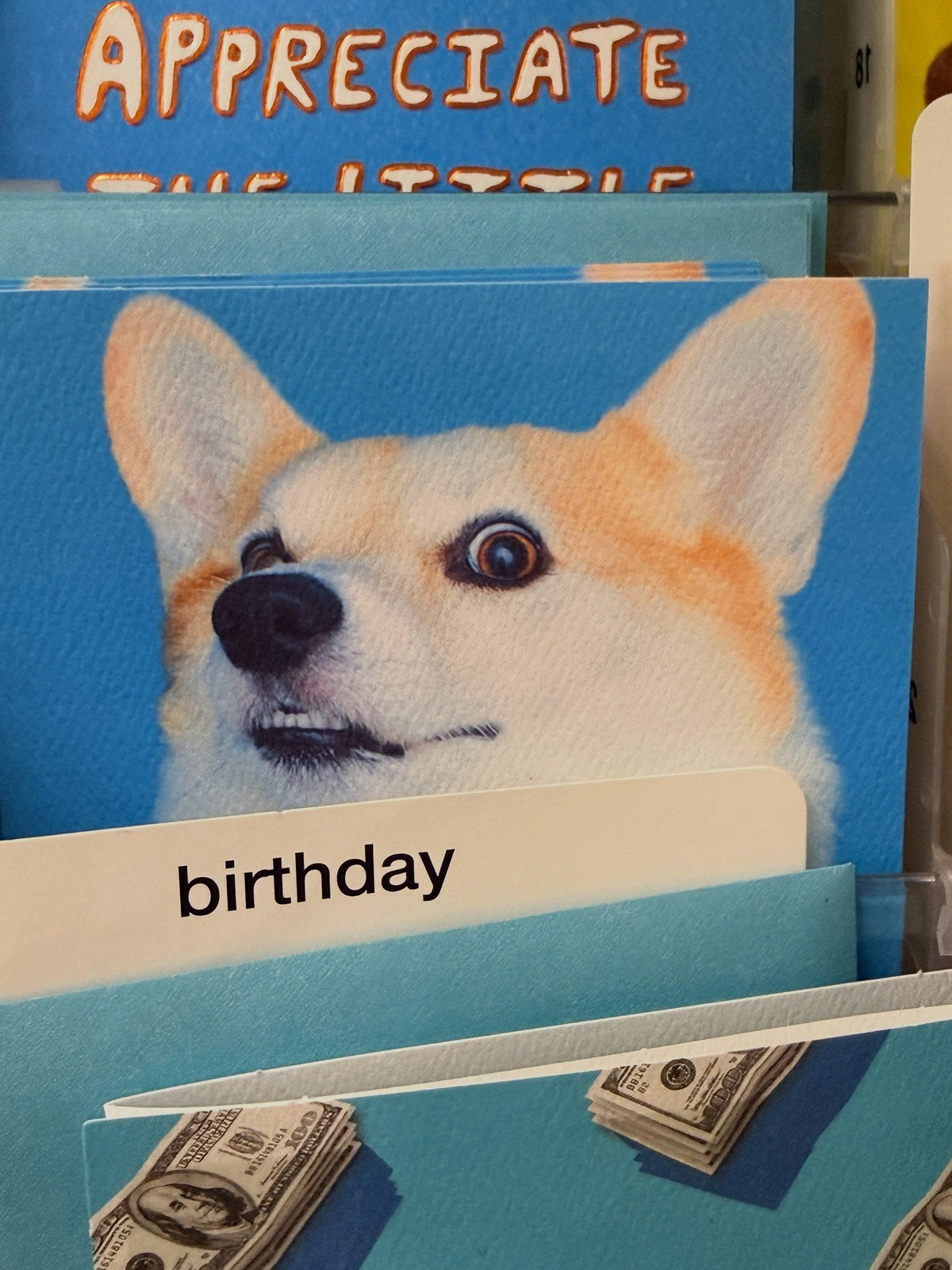 ntdZcR