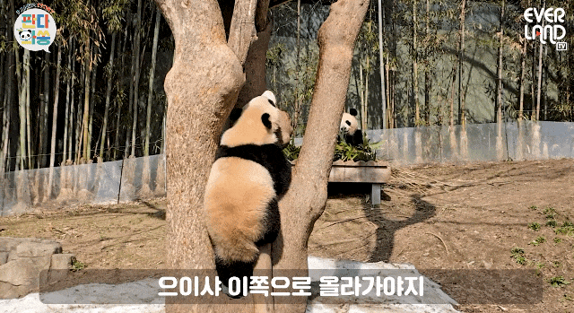 nxyBJt.gif