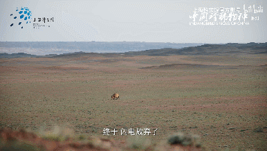 nyiELx.gif