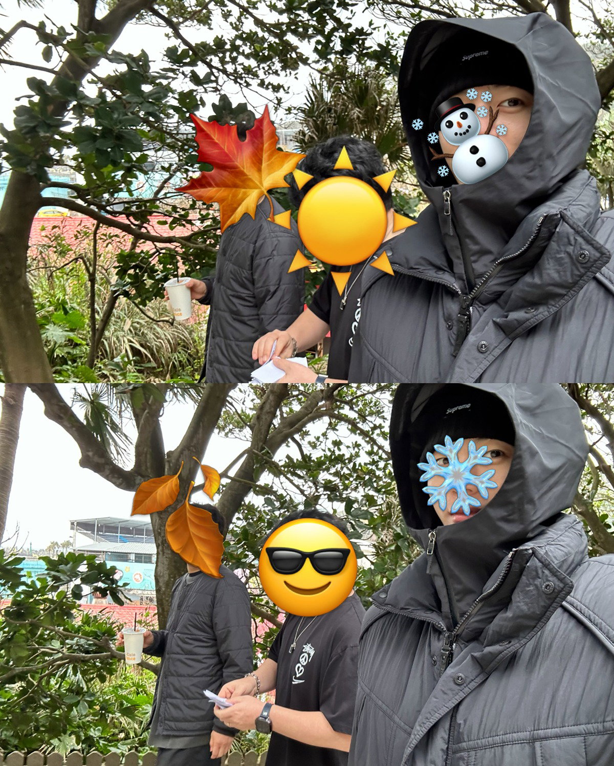 oCADSD