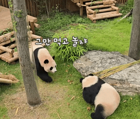 oDDBaK.gif