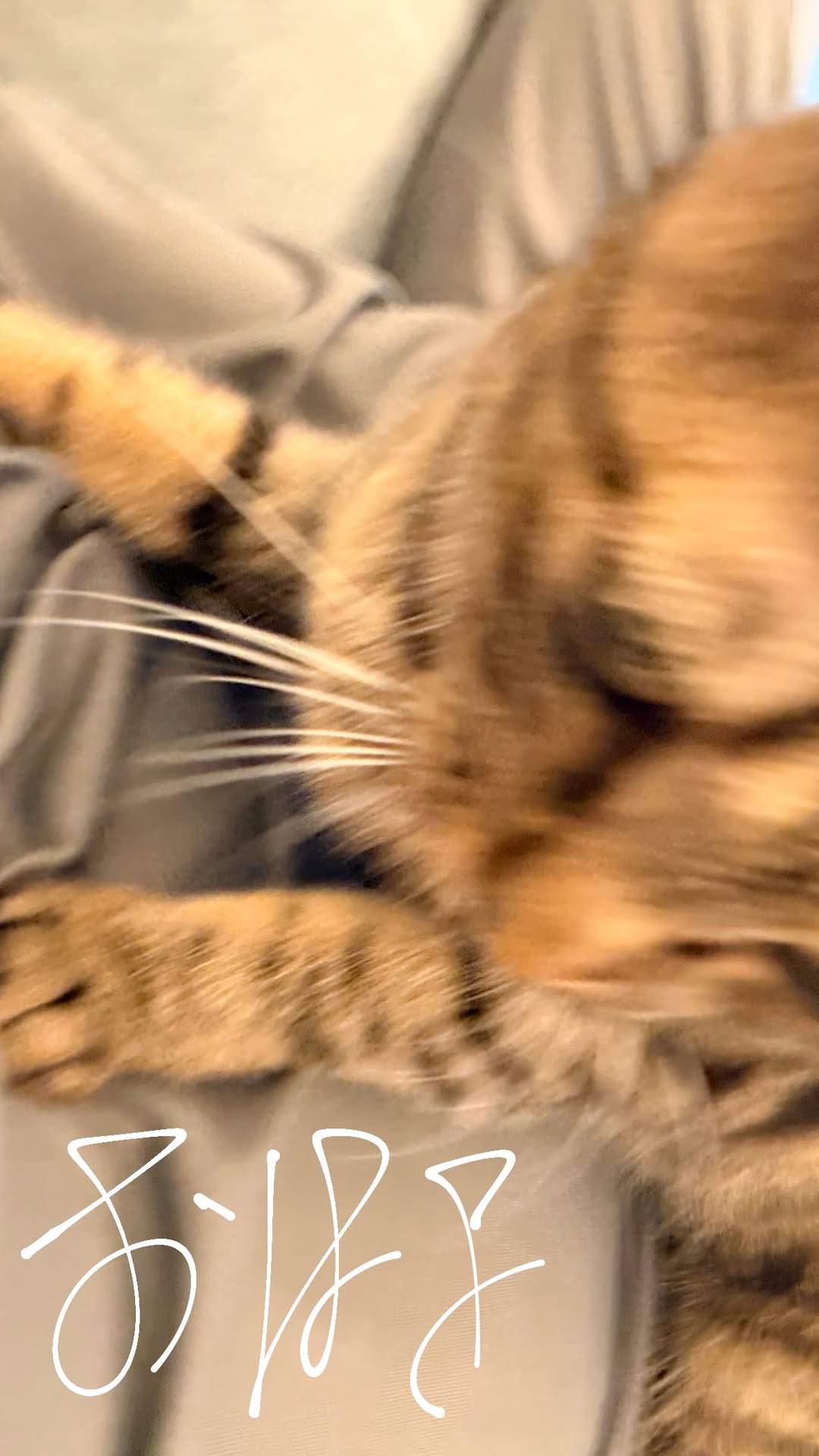 oEHiSY