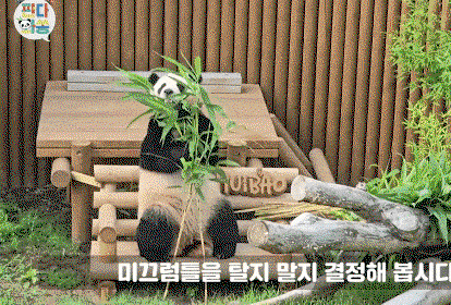 oFRJmK.gif