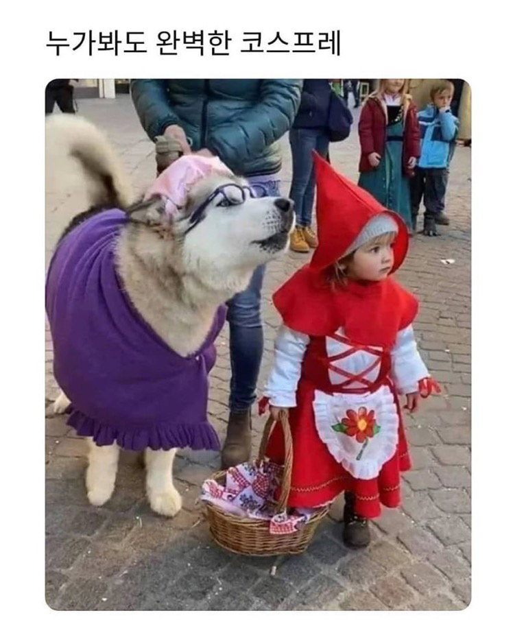 oHBhUN