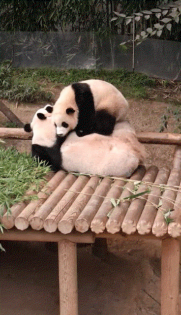 oHVKdR.gif