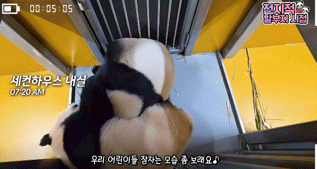 oJpmWU.gif