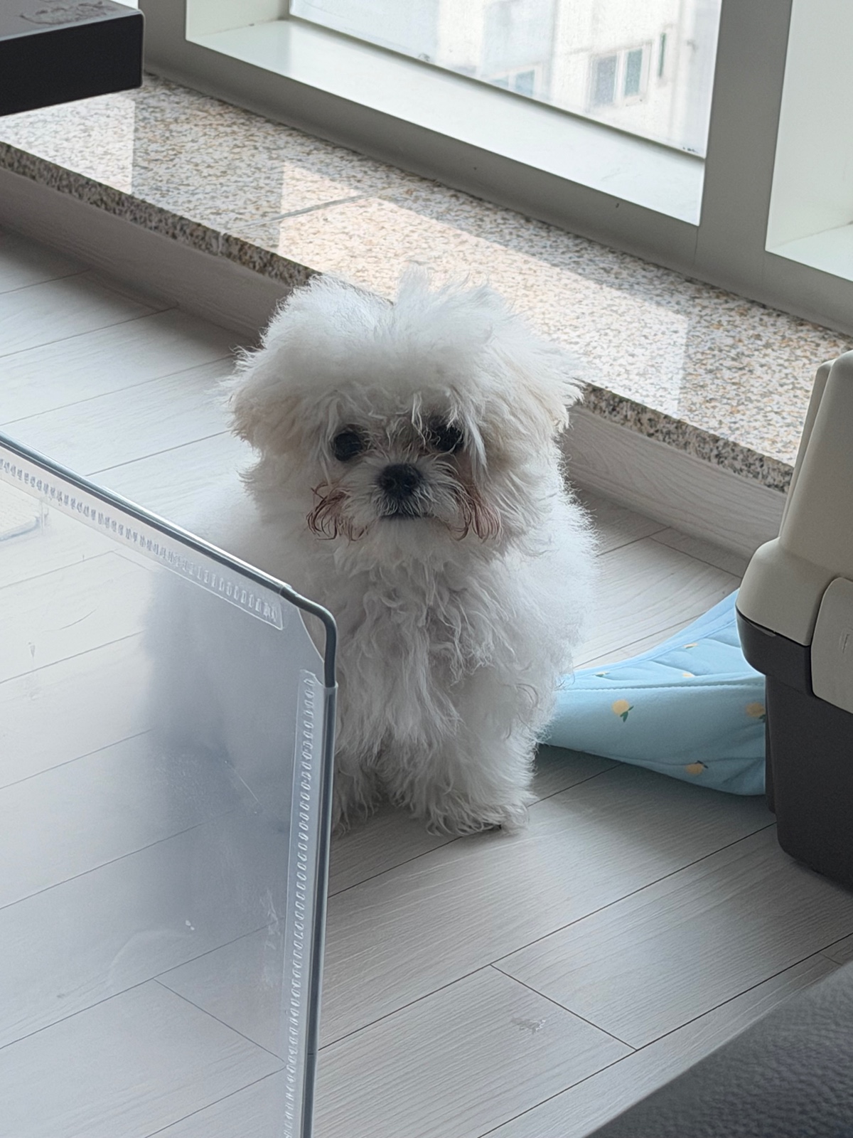 oKevdG