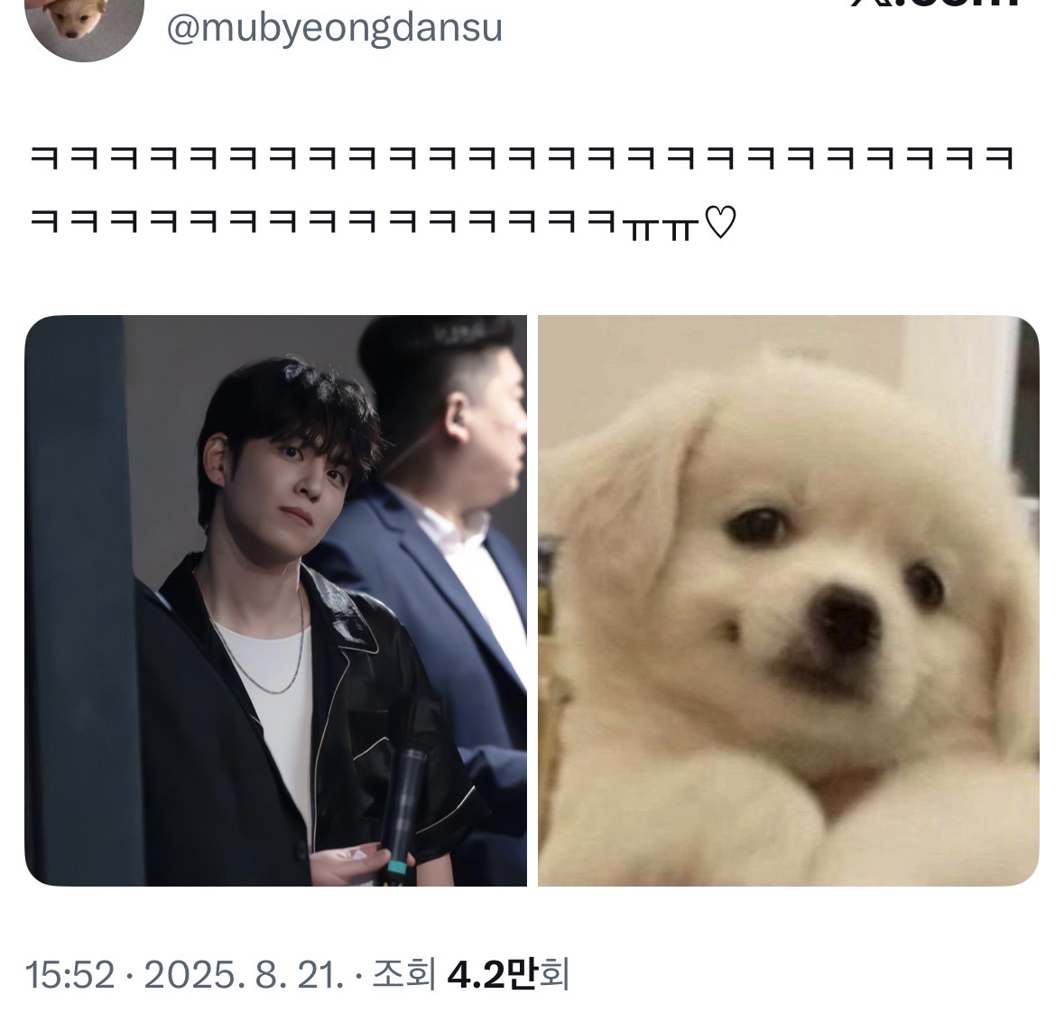 oMBDMm