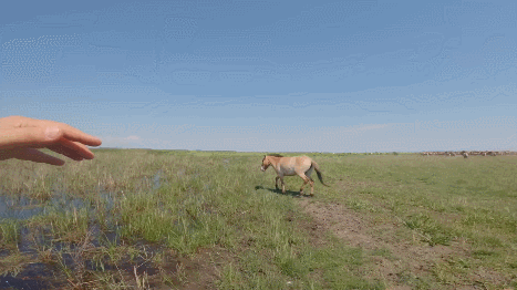 oNCmgI.gif
