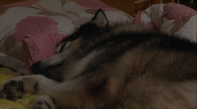 oRWqft.gif