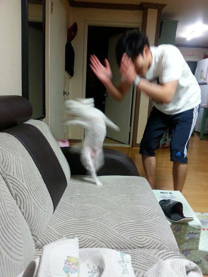 oTPdIF