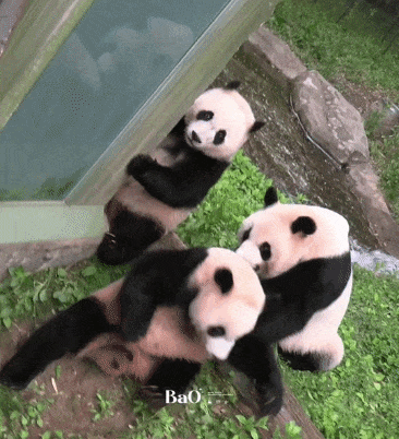 oWYlJK.gif