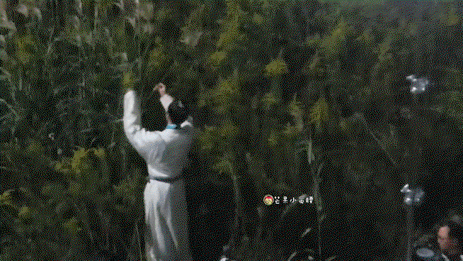 oZbXwo.gif