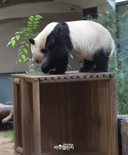 ocQlEr.gif