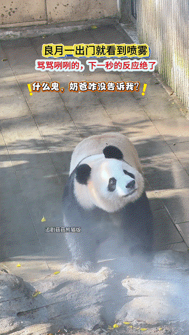 ocjEfI.gif