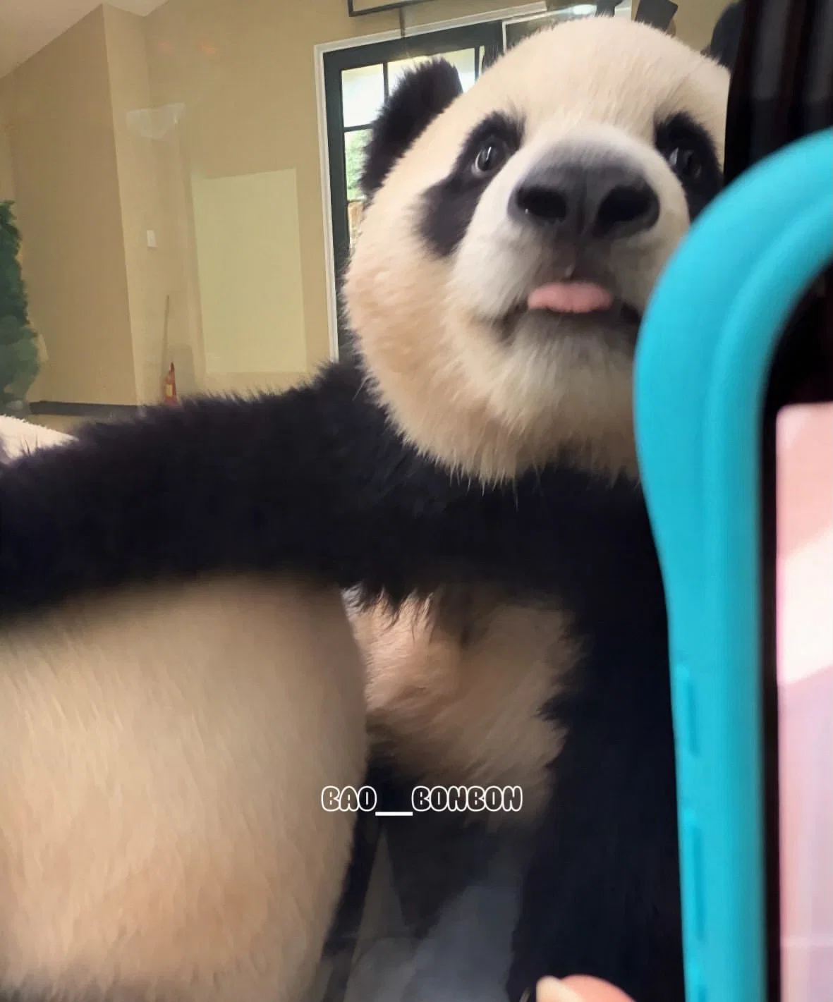 oeaEnw