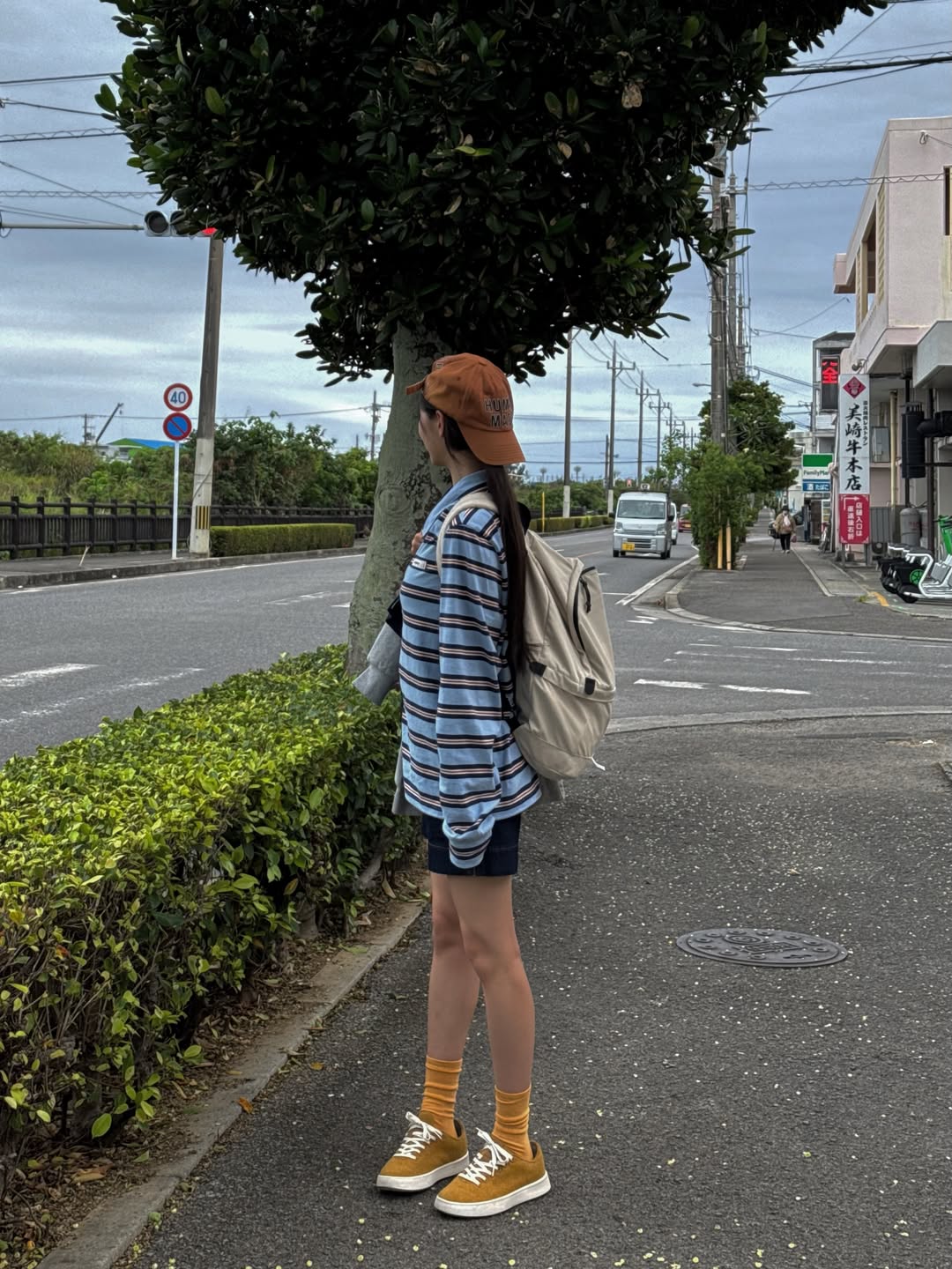 ogdSfi