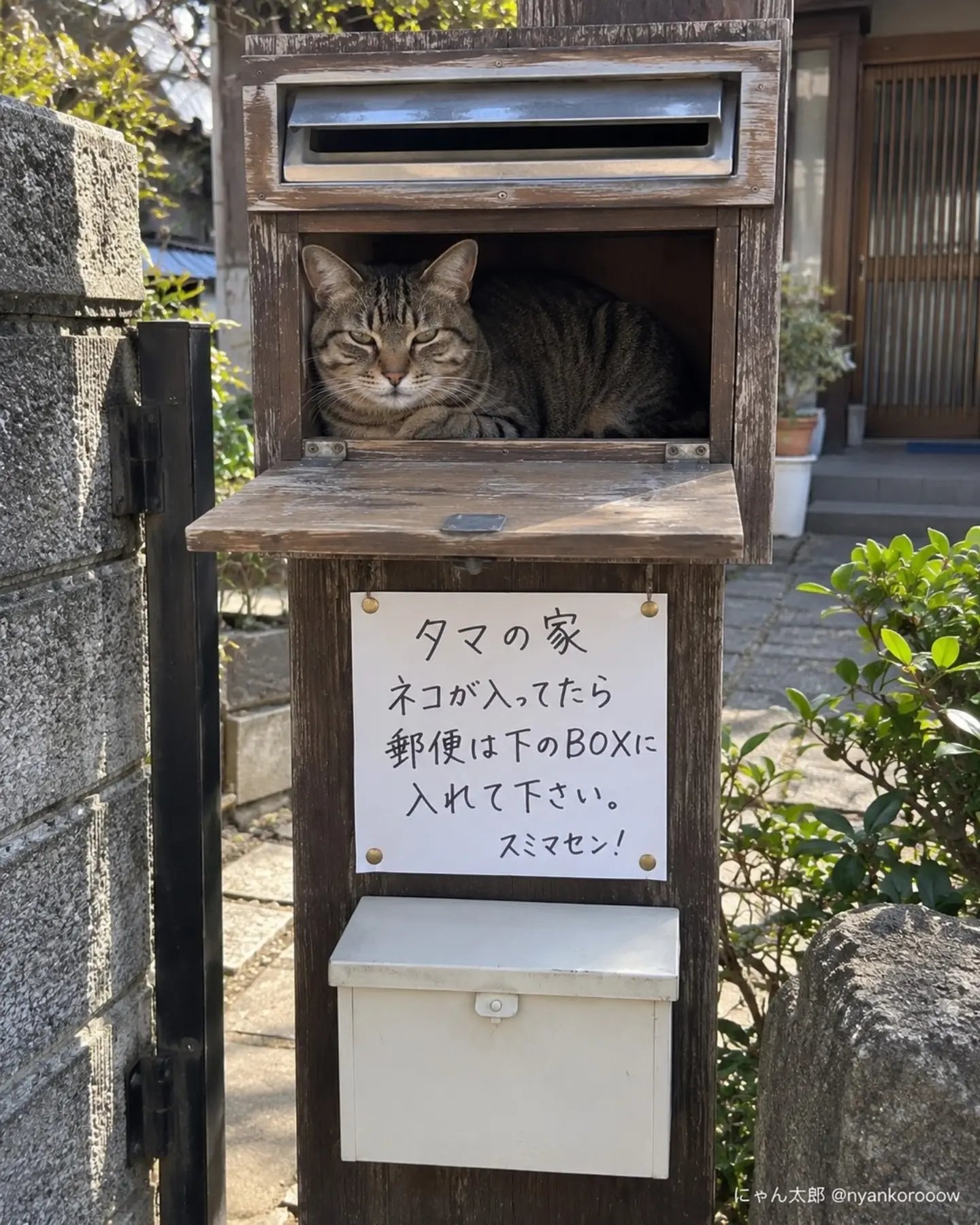 ohbbpb
