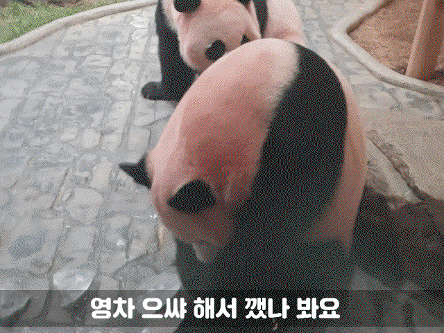 ojLBGa.gif