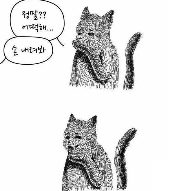 ojhhlZ