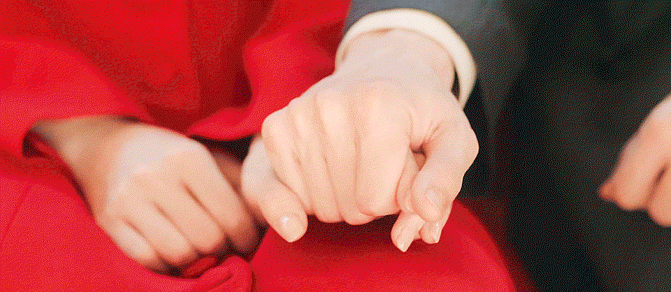 omIBNo.gif