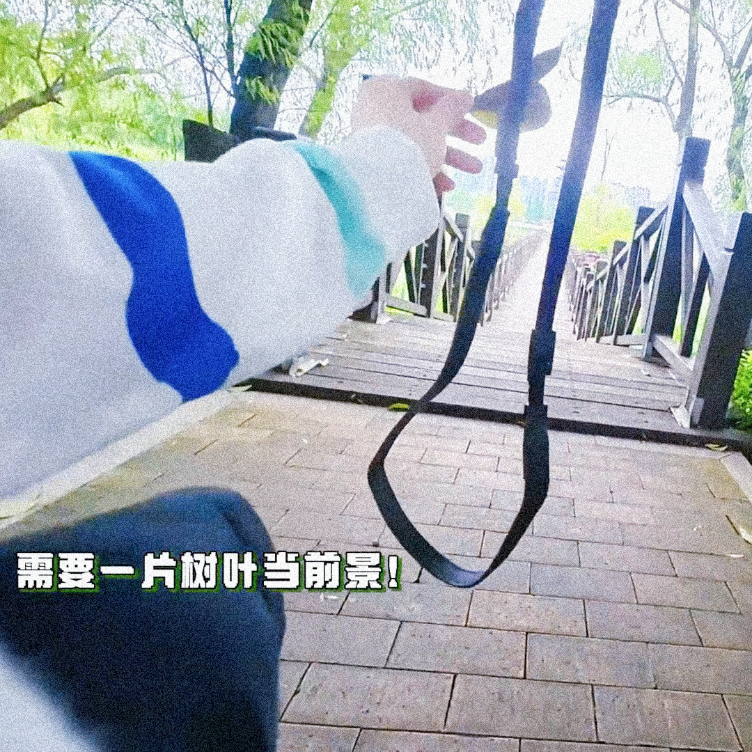 omPpYC