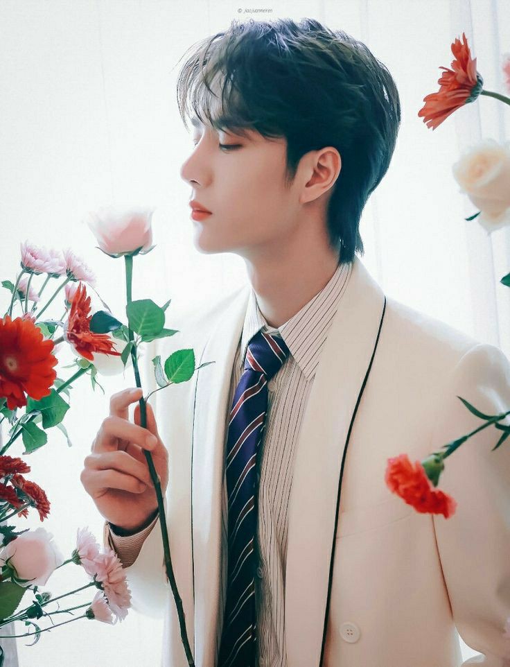 omSAOL